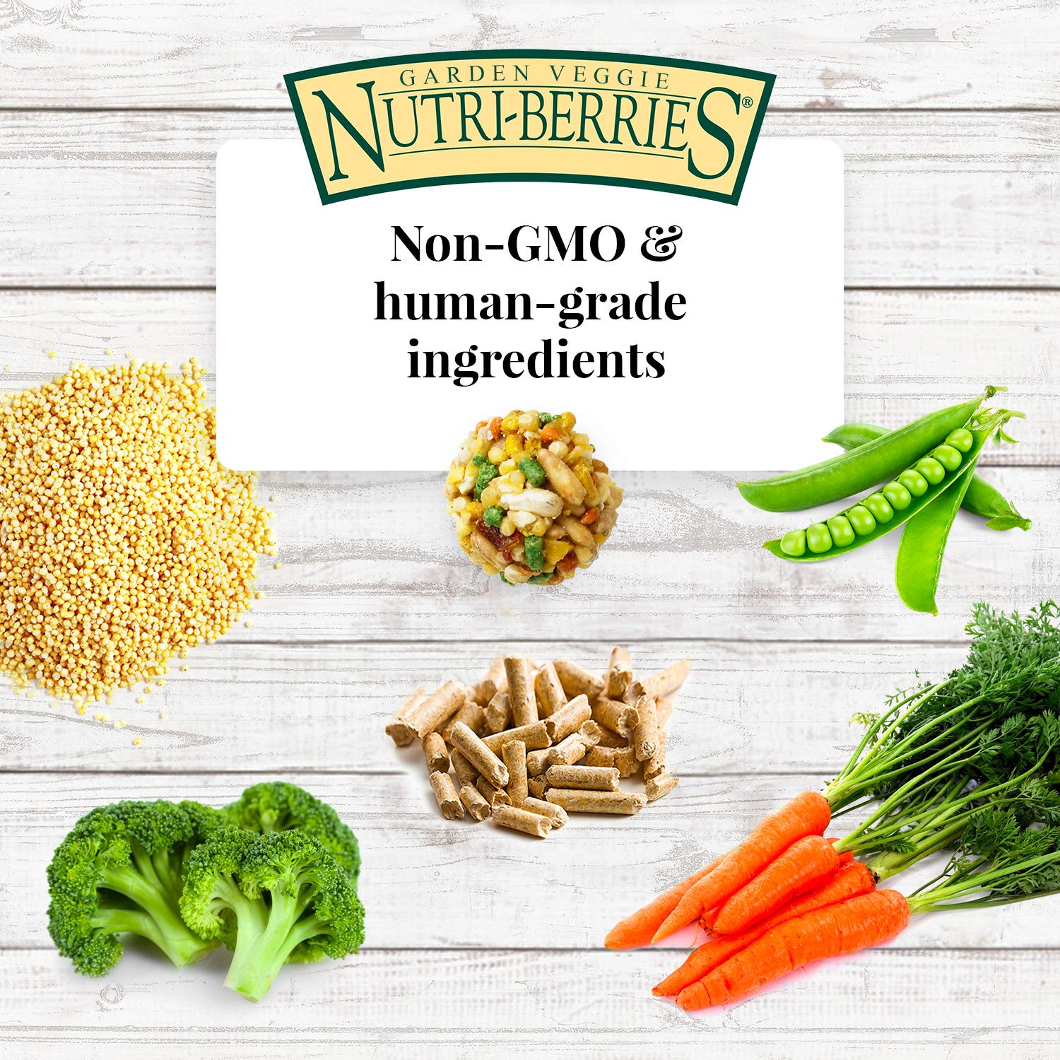 LAFEBER'S Garden Veggie Nutri-Berries omega-3 & 6 rich formula supports skin and feathers