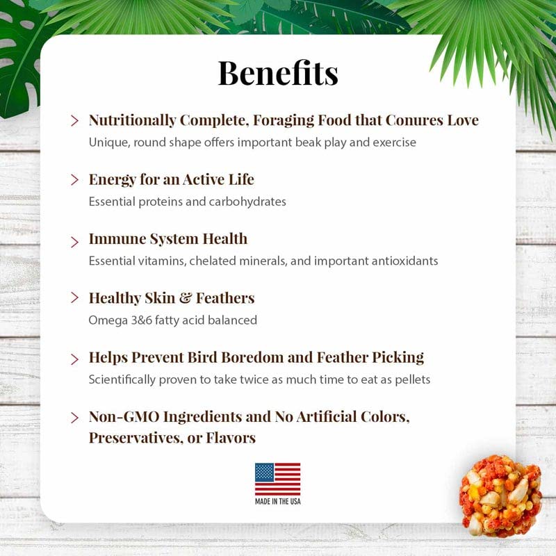 LAFEBER'S Non-GMO, human-grade ingredients in Nutri-Berries for conures