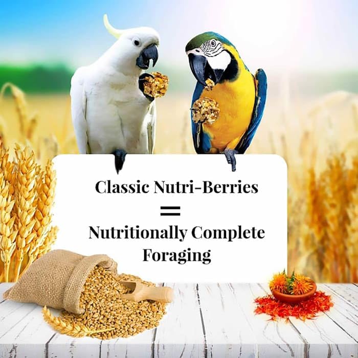 Lafeber's Nutri-Berries antioxidants and omega-3-6 balance for feathers.