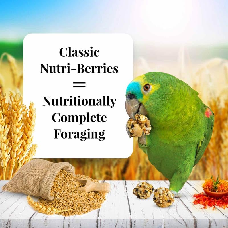 Nutri-Berries round shape promotes beak exercise and foraging for parrots.