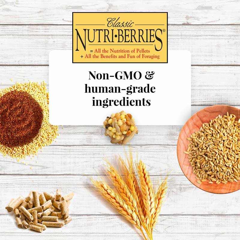 Ingredient label shows non-GMO, no artificial additives for Nutri-Berries.