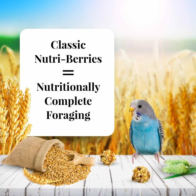 Nutri-Berries round bites promote beak exercise for parakeets.