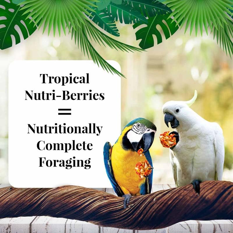 LAFEBER'S Nutri-Berries round foraging shape supports beak exercise