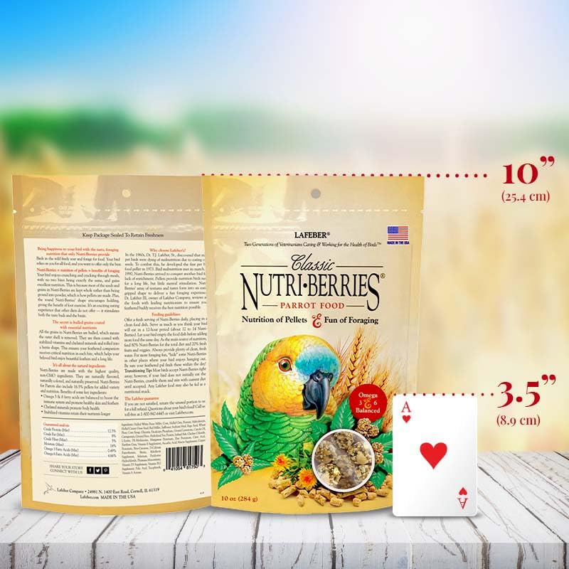 Serving dish with Nutri-Berries for parrots ready to offer