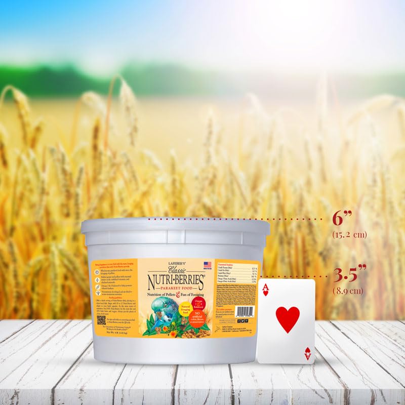 Serving dish of Nutri-Berries supports balanced nibbling and enrichment.