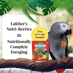Closeup of LAFEBER'S Nutri-Berries bags showing quality ingredients