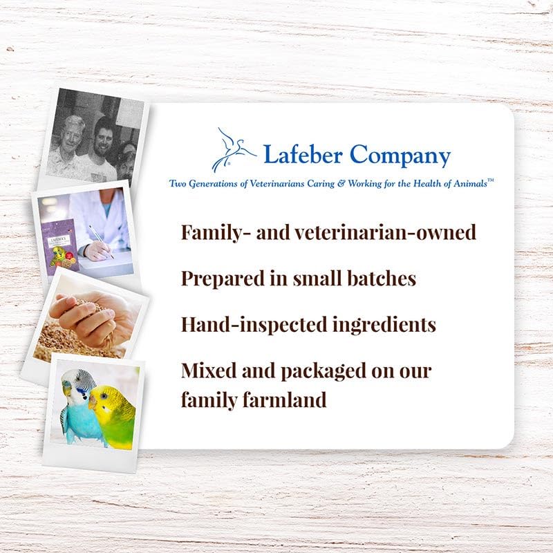 LAFEBER'S packaging and home-use feeding setup with a curious parakeet.
