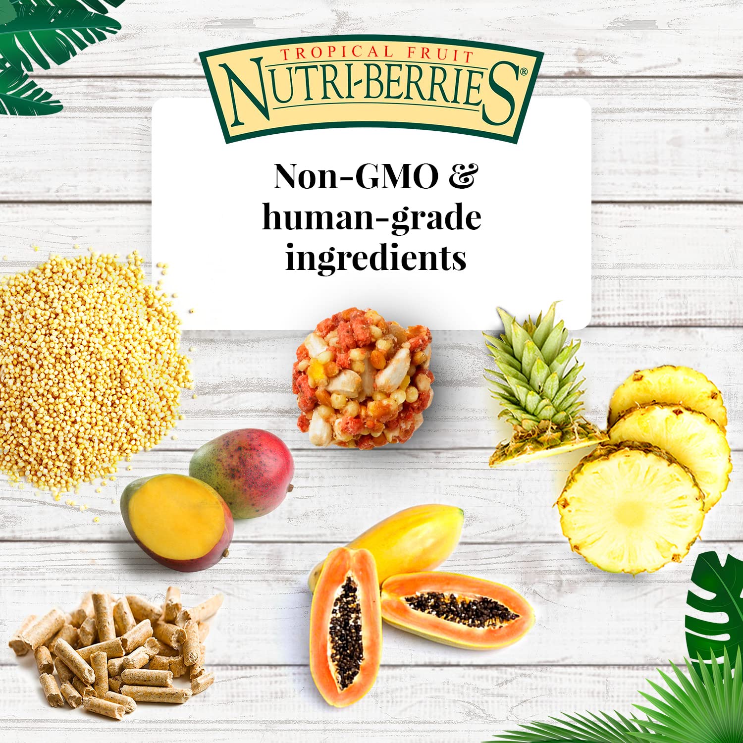 LAFEBER'S Nutri-Berries ready-to-serve parrot feeding routine.