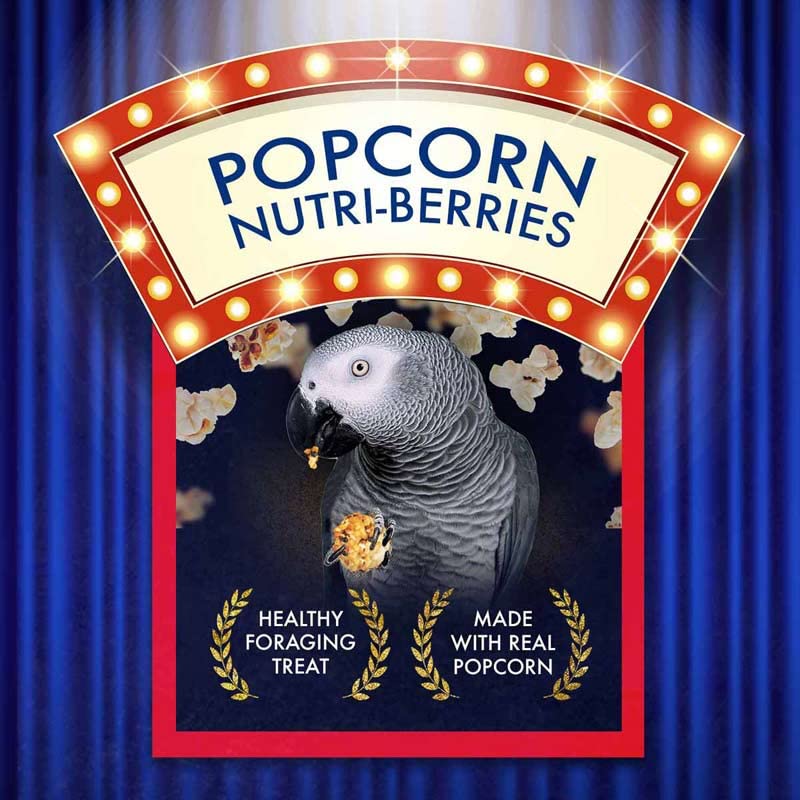 LAFEBER'S Popcorn Nutri-Berries close-up texture highlighting crunch for foraging enrichment.