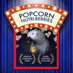 LAFEBER'S Popcorn Nutri-Berries close-up texture highlighting crunch for foraging enrichment.