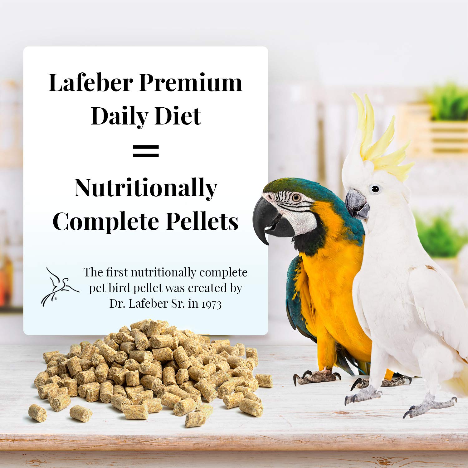 Close-up of ingredients in LAFEBER'S pellets with non-GMO, human-grade components