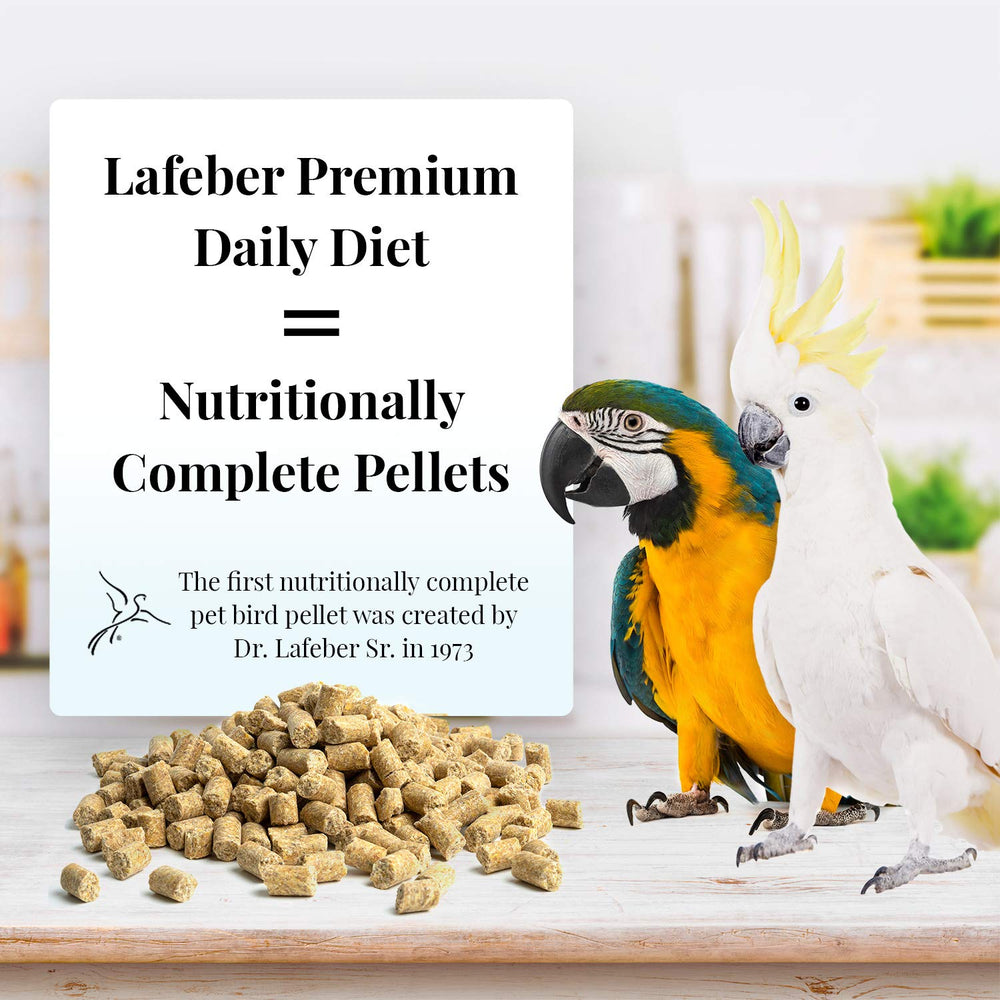 Close-up of ingredients in LAFEBER'S pellets with non-GMO, human-grade components