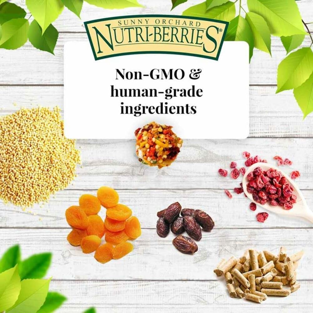 LAFEBER'S Sunny Orchard Nutri-Berries foraging shapes image highlights round treats.