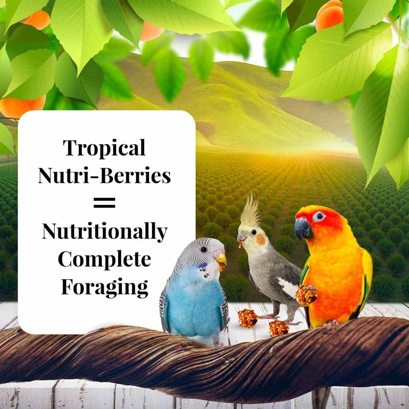 Close-up shows real apricots, dates, cranberries in LAFEBER'S Nutri-Berries offering natural flavor.