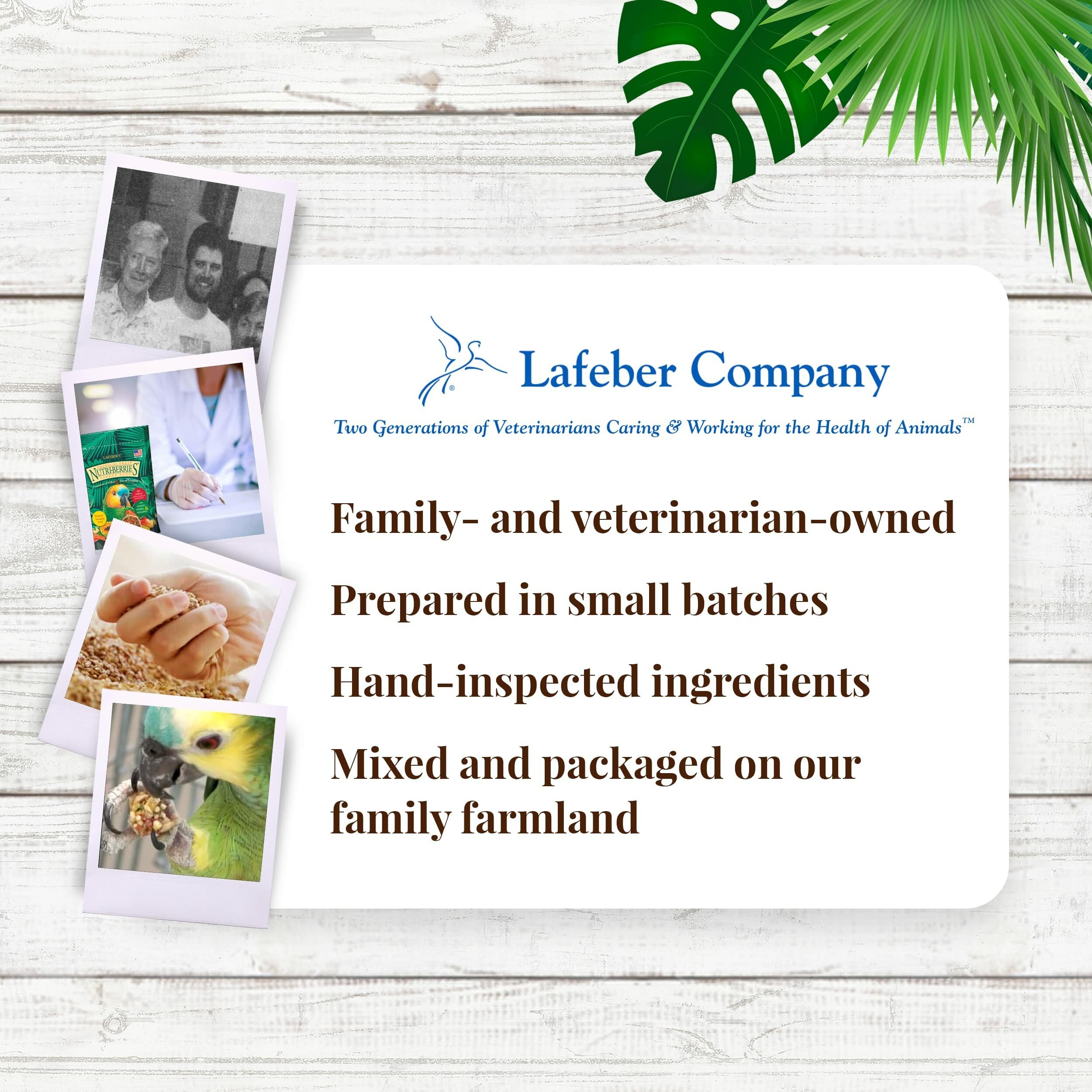 LAFEBER'S Tropical Fruit Nutri-Berries antioxidants foraging benefits support parrot vitality.