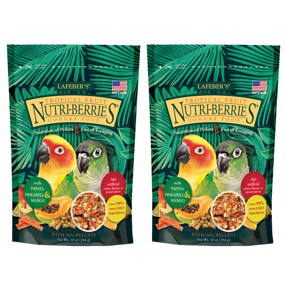 LAFEBER'S Tropical Fruit Nutri-Berries bag closeup showing real fruit pieces for birds' nutrition