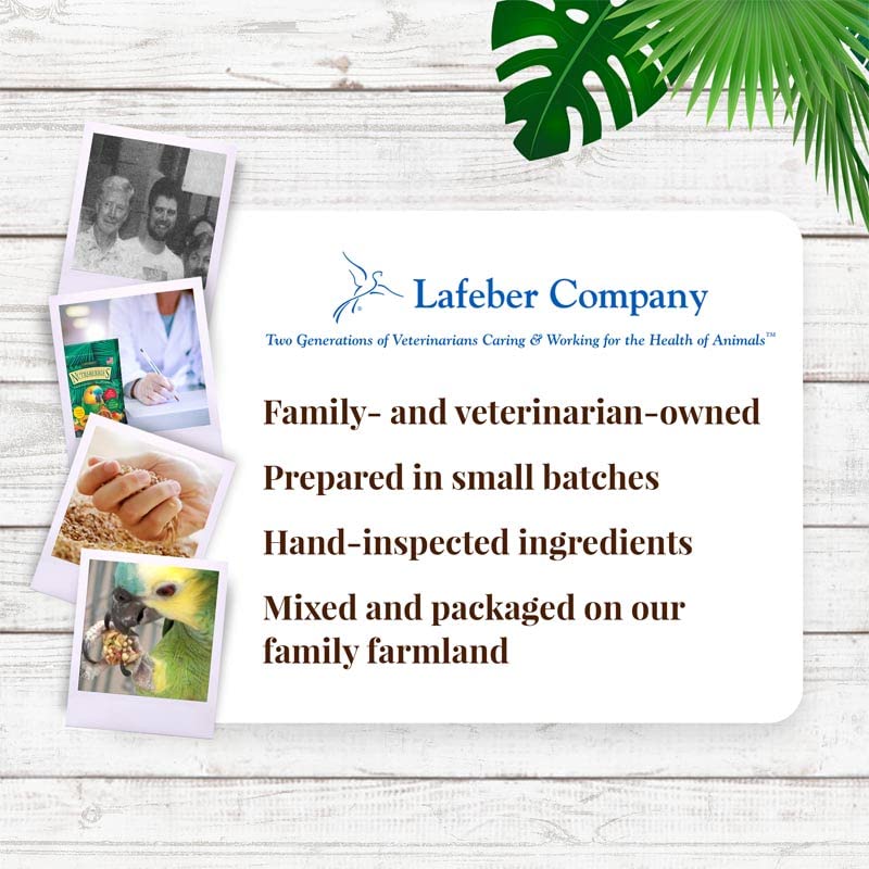 LAFEBER'S Tropical Fruit bites offer variety for parrots.