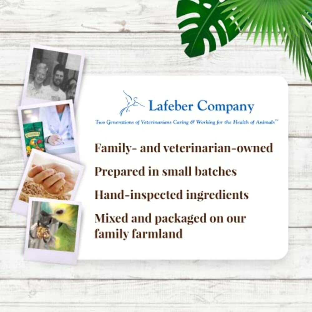 LAFEBER'S Tropical Fruit Nutri-Berries feeding-scene demonstrates engaging mealtime for parrots.