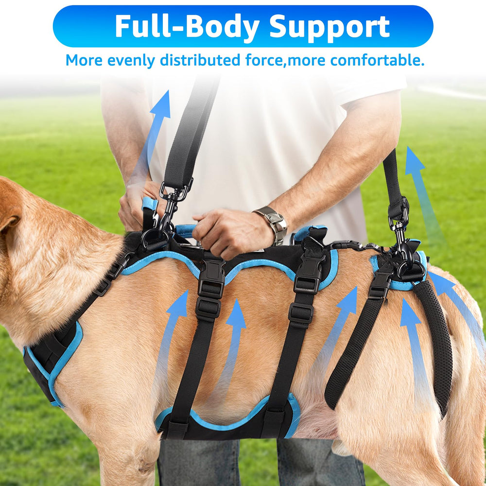 Lafoty dog lift harness durable materials for long-lasting support.