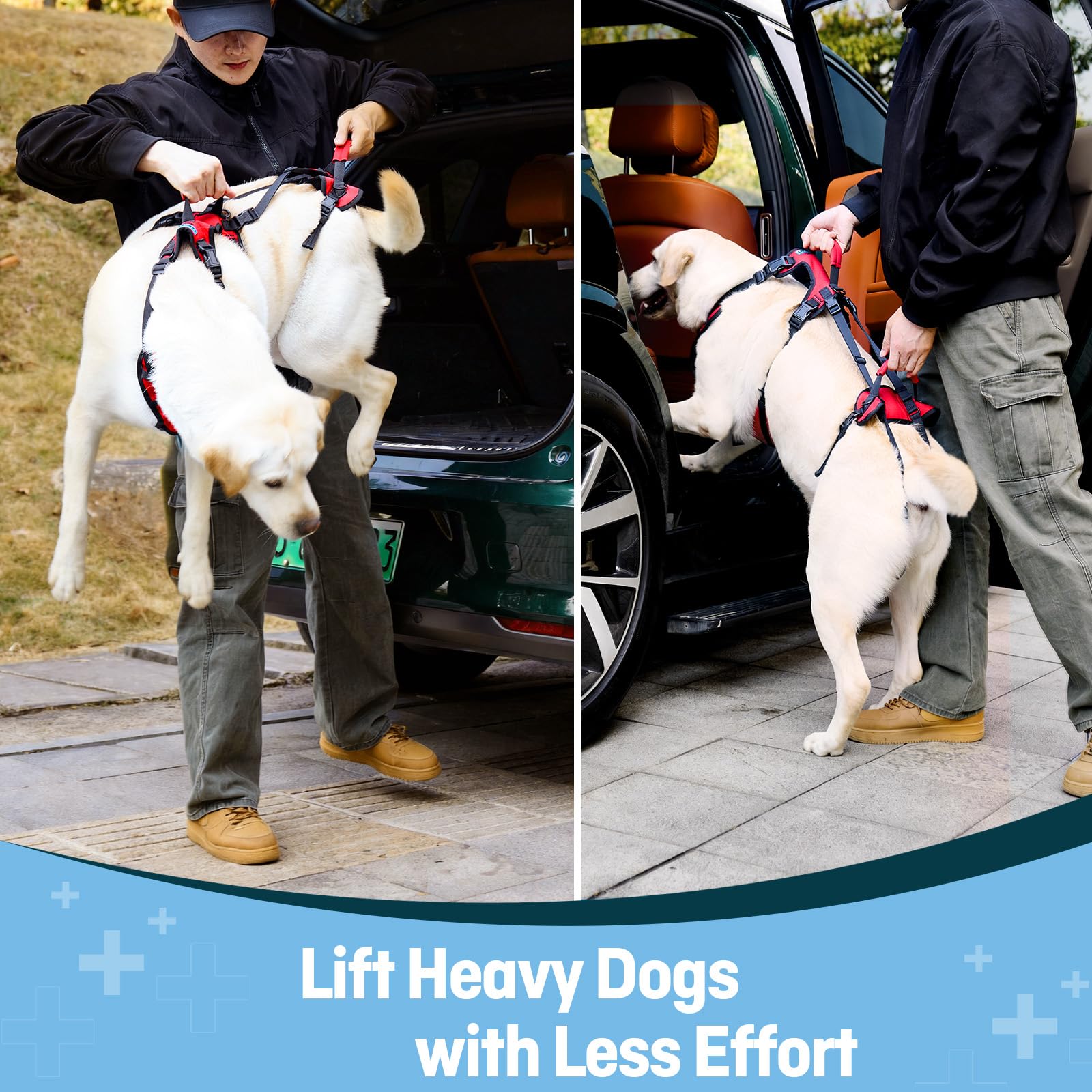 Lafoty Dog Lift Harness extralarge breathable fabric for all-day comfort.