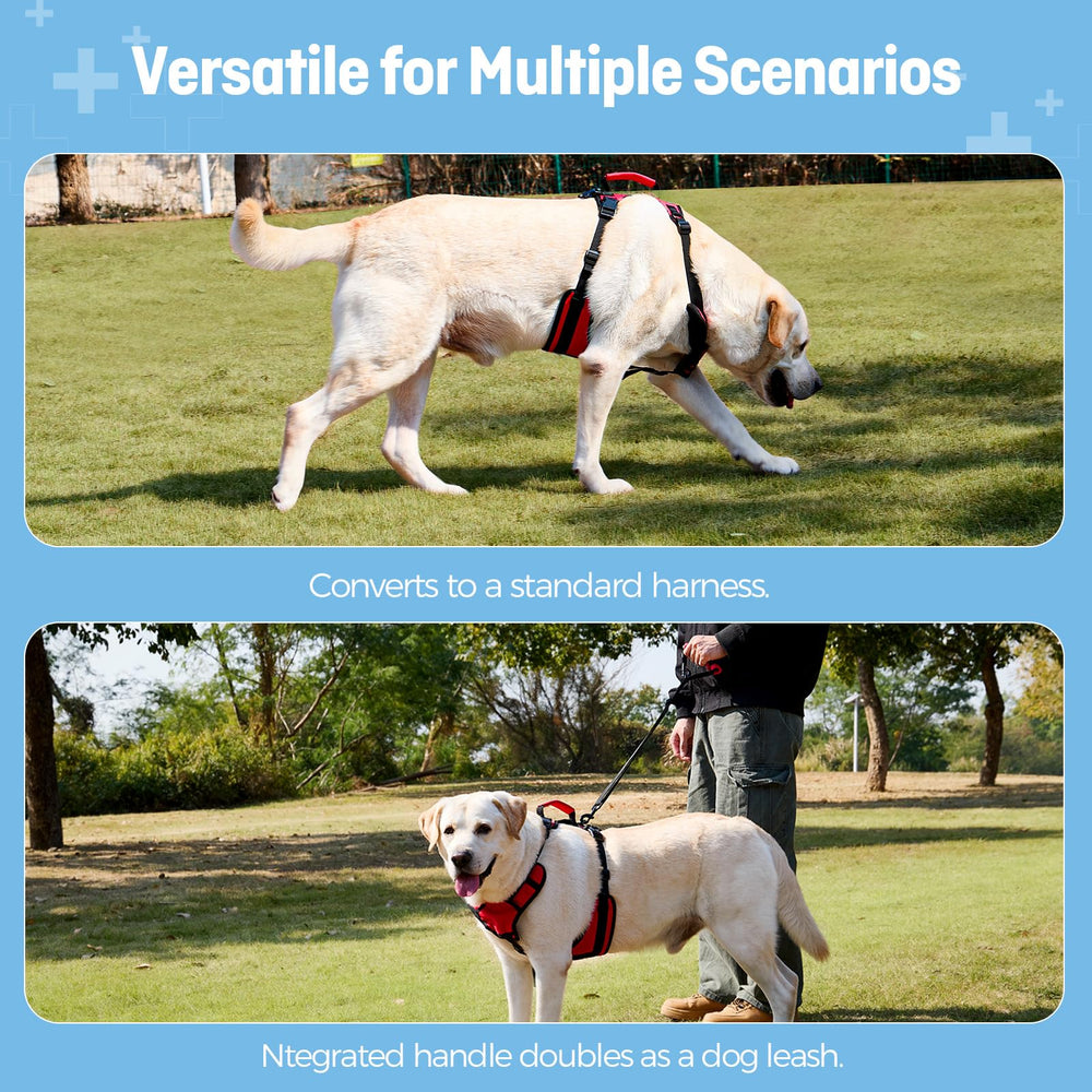 Lafoty Dog Lift Harness extralarge car-transfer use for easier vehicle entry.