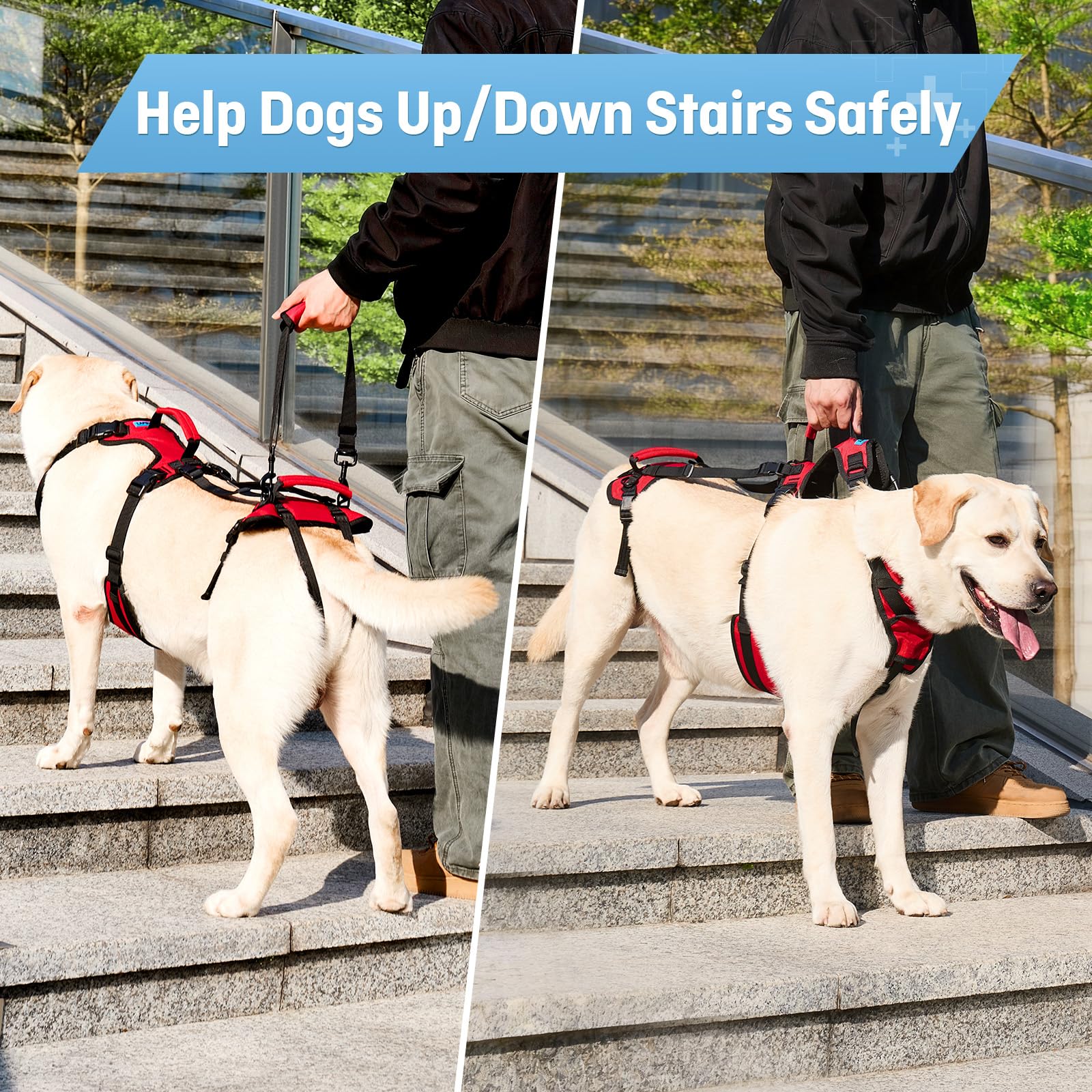 Lafoty Dog Lift Harness extralarge wrap design avoids belly pressure during wear.