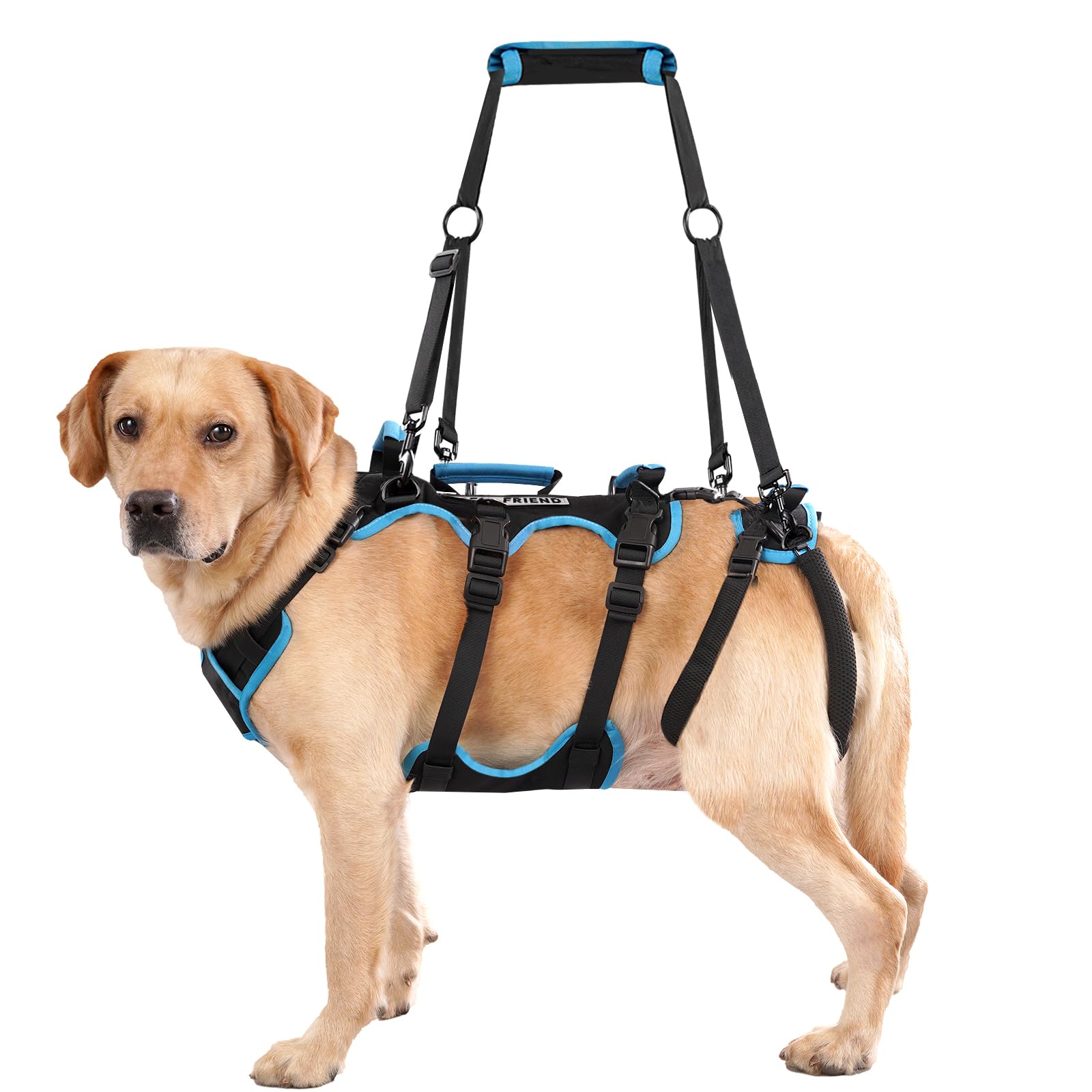 Lafoty dog lift harness front view with four handles for stable lifting