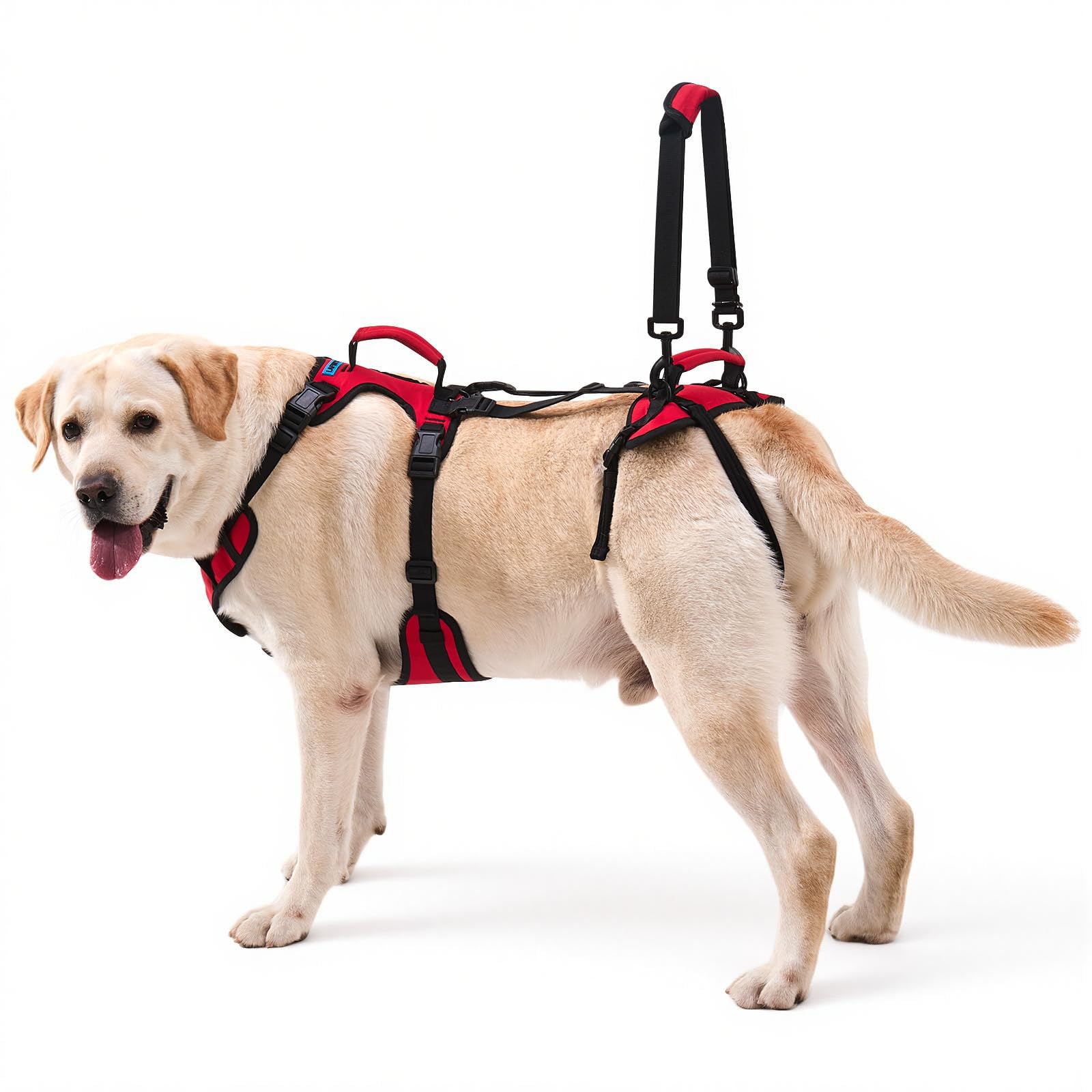 Lafoty Dog Lift Harness with full-body support helps large dogs stand with less effort.