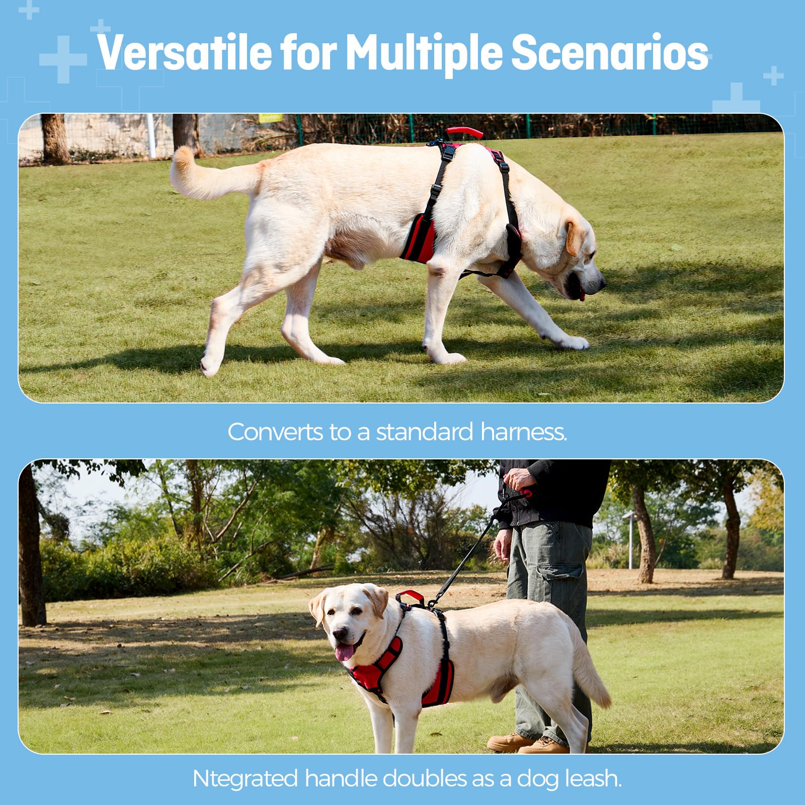 Lafoty harness integrated handle doubles as a leash for versatile control.
