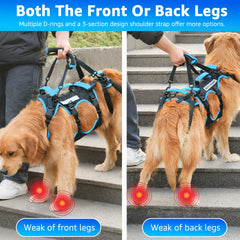 Lafoty dog lift harness rear view highlighting rear leg support
