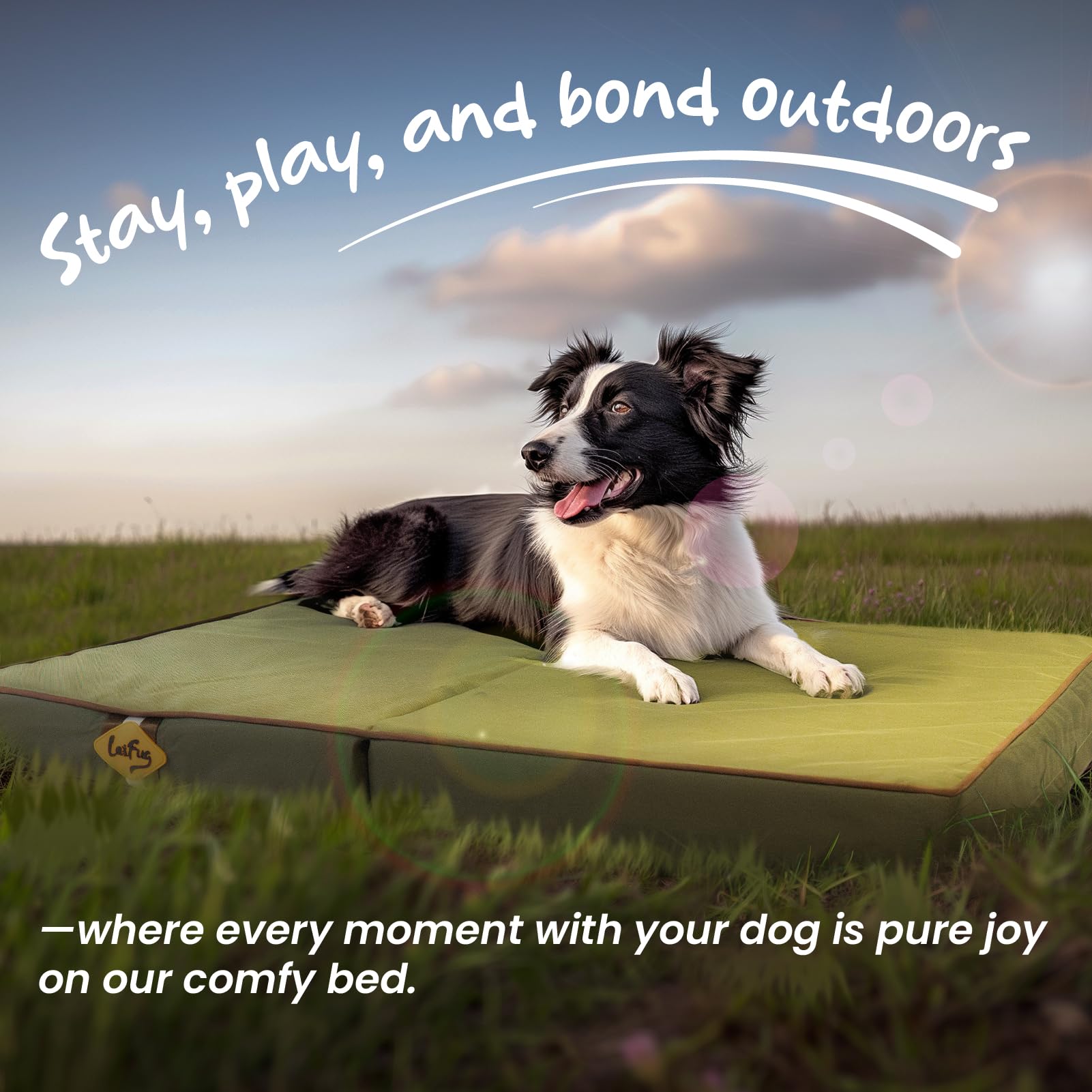 Laifug 44 by 32 inch large dog bed offers spacious resting area.