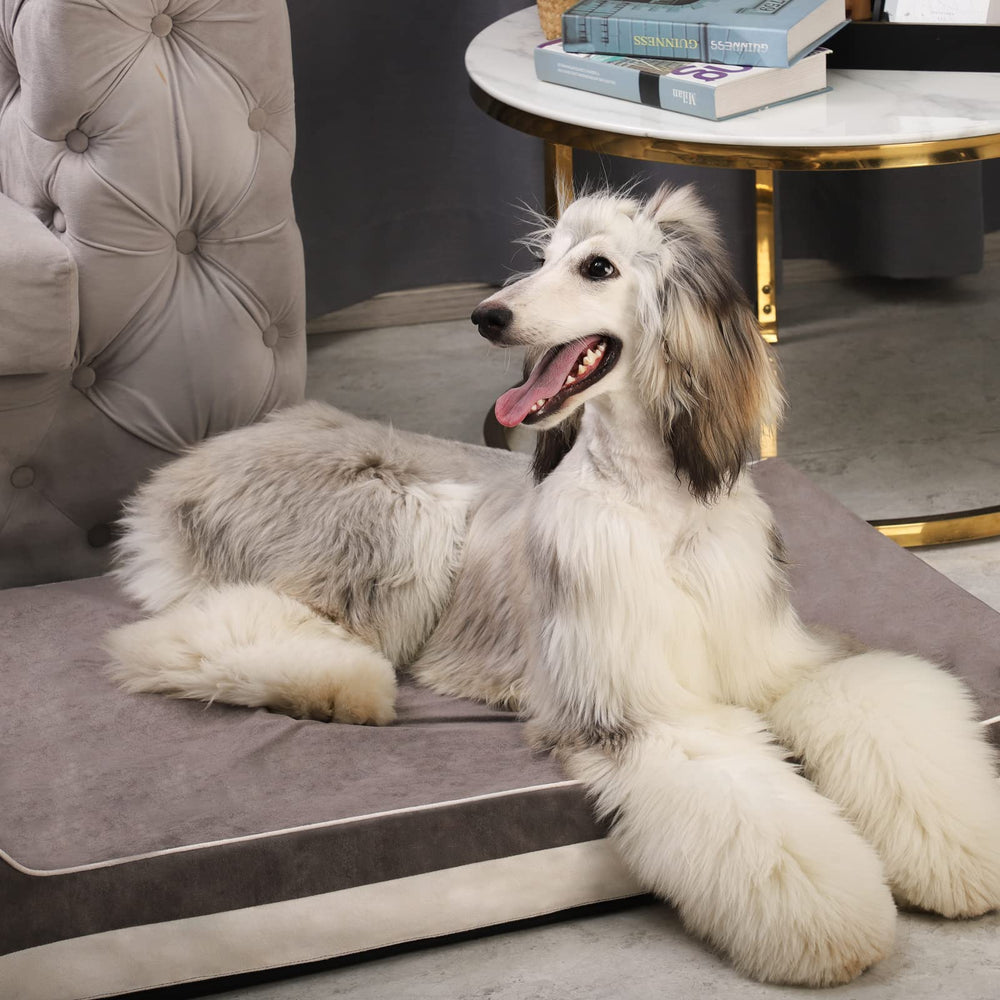 Laifug dog bed in cozy room ready for naps