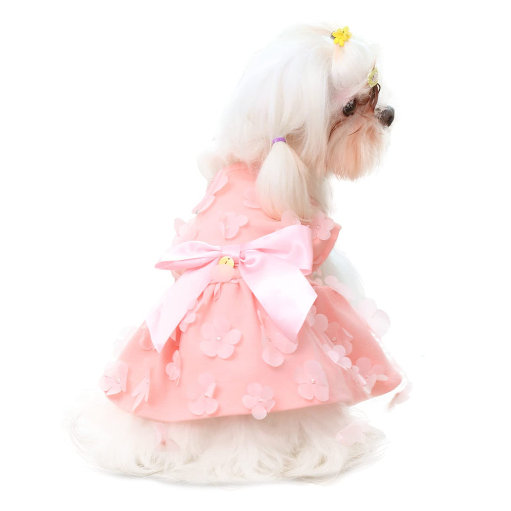 Laifug dress suits parties, daily strolls, and cute photo ops.