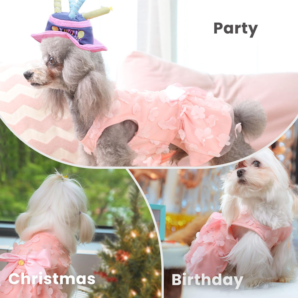 Laifug higher tail cut eases bathroom breaks outside.