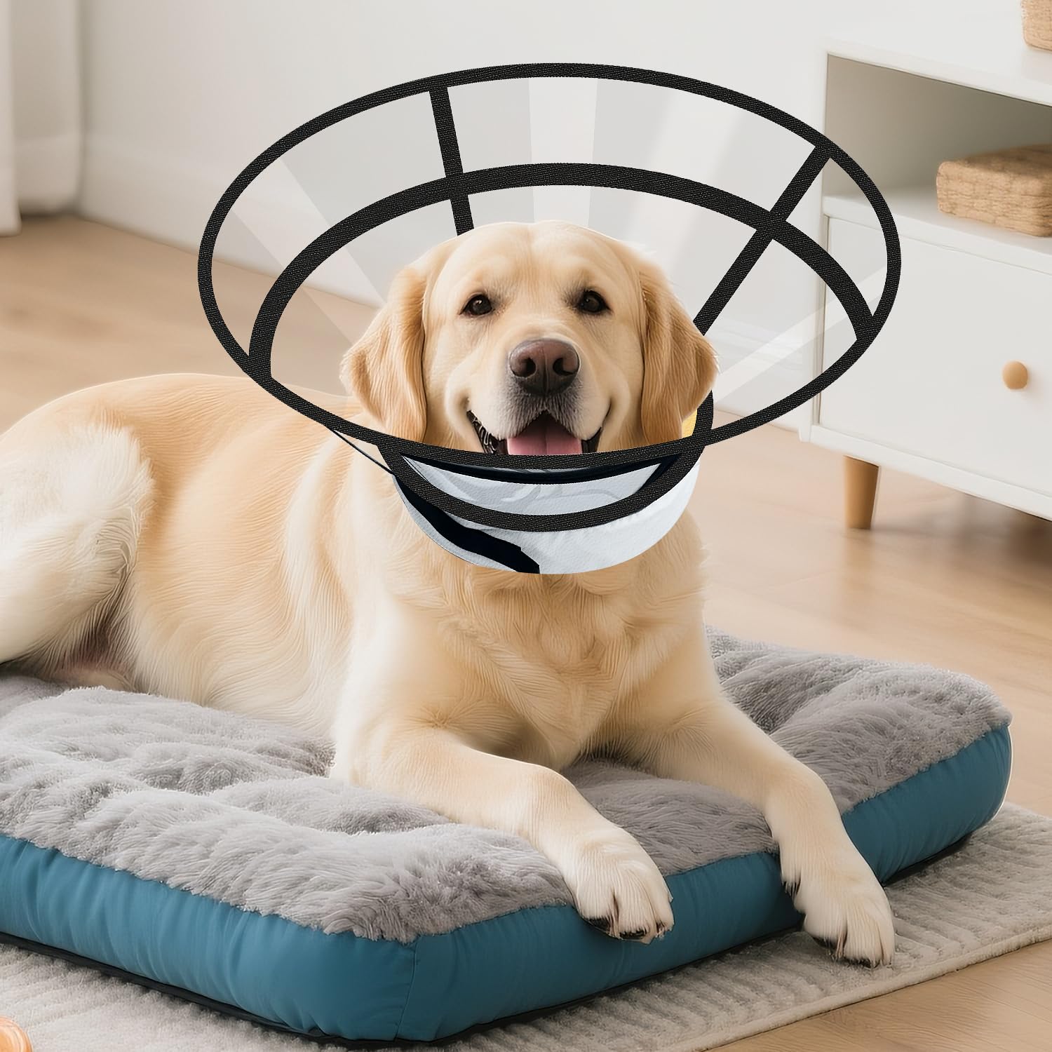 Lainergie XL donut collar in grey-yellow ready for big dogs
