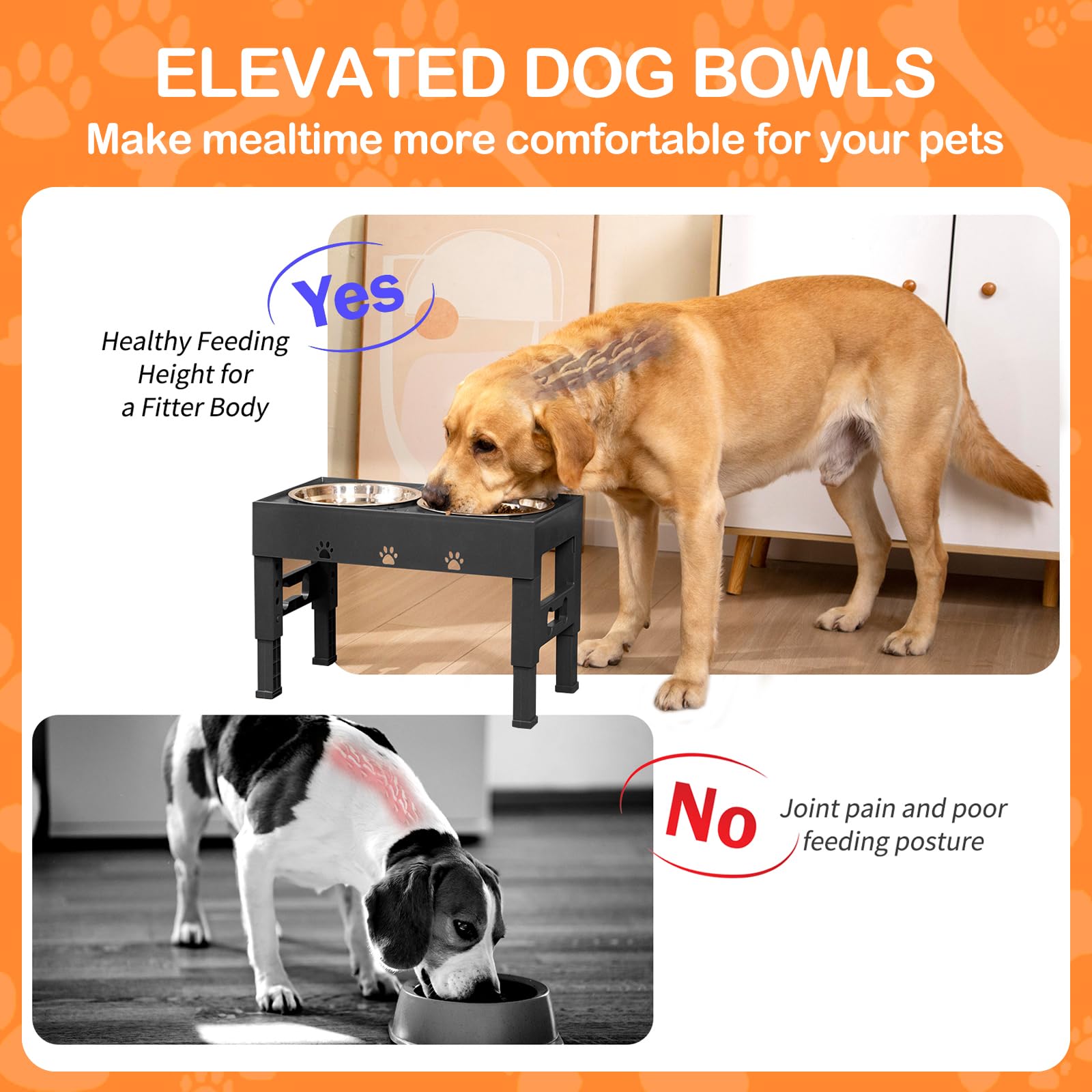 LAKIPETN anti-slip base keeps bowls steady during meals.