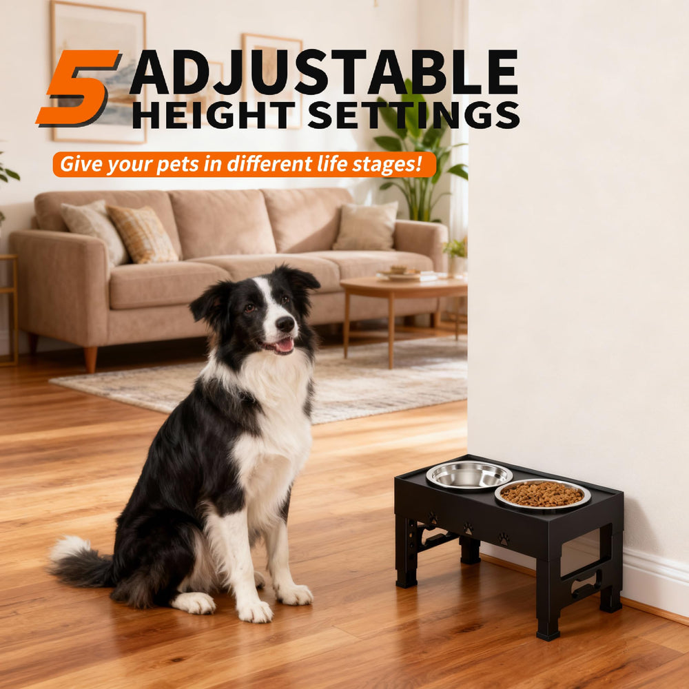 LAKIPETN elevated dog bowls two bowls: balanced feeding with easy cleaning.