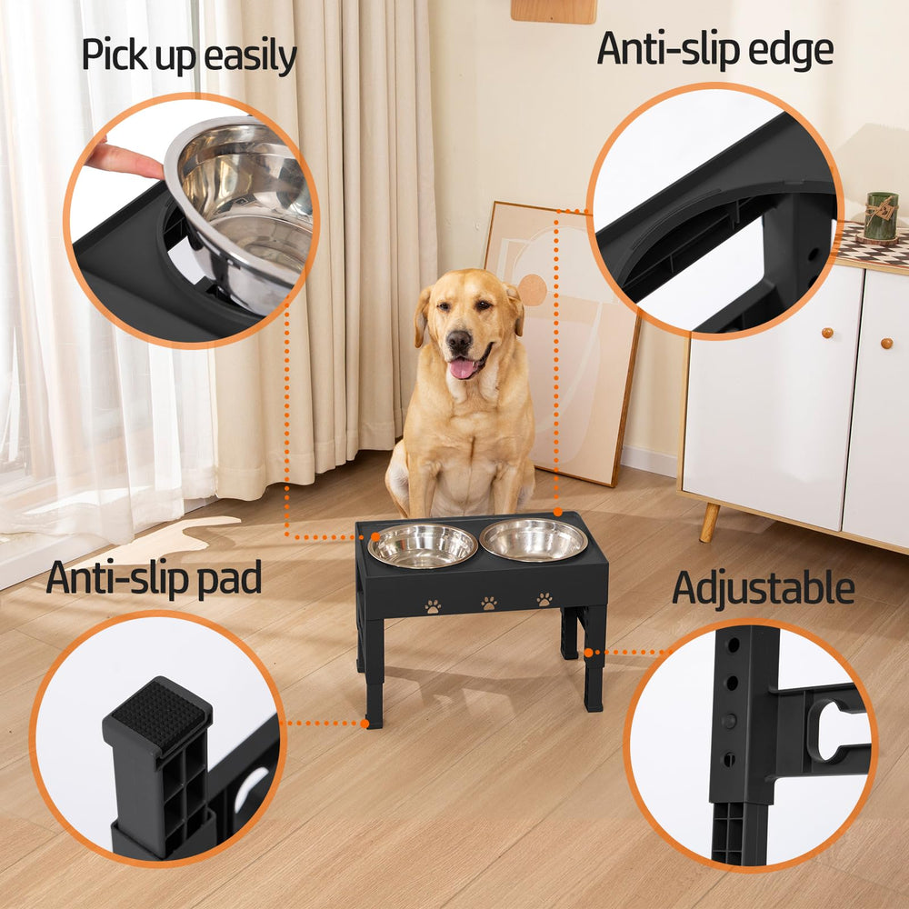 LAKIPETN height-adjustable stand supports varying breeds with ergonomic feeding posture.