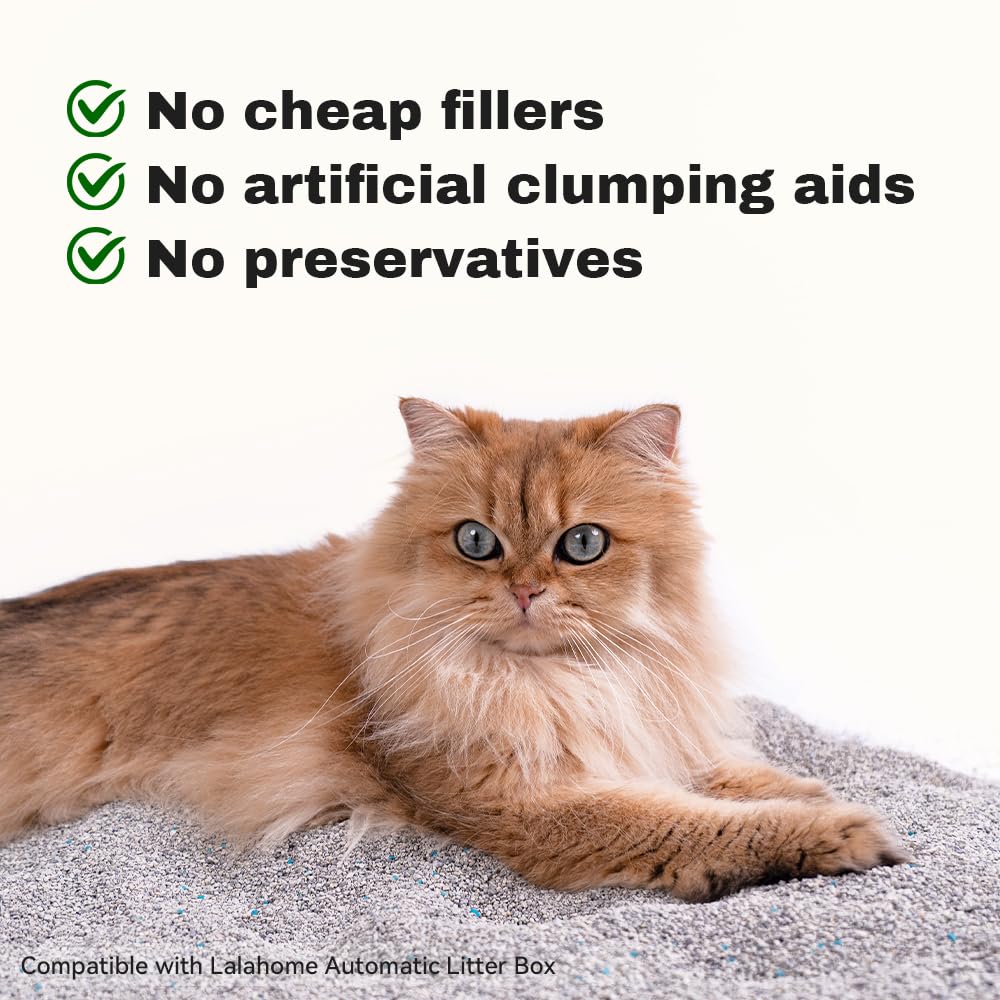 Multi-cat box with deodorizer and light fresh scent