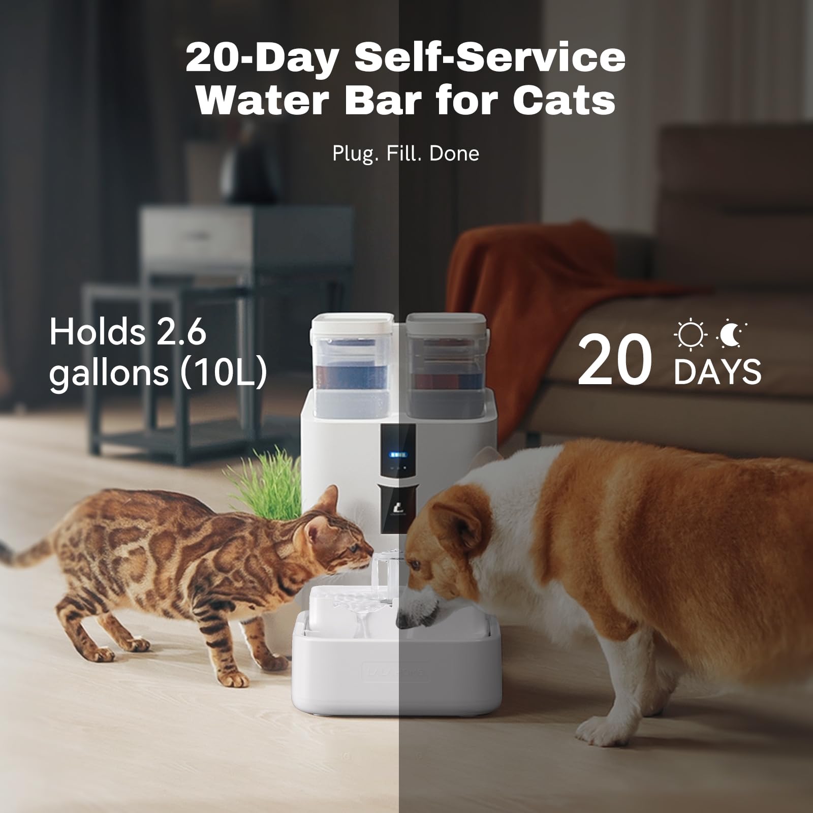 LALAHOME detachable bowl for quick, easy cleaning and refillability.
