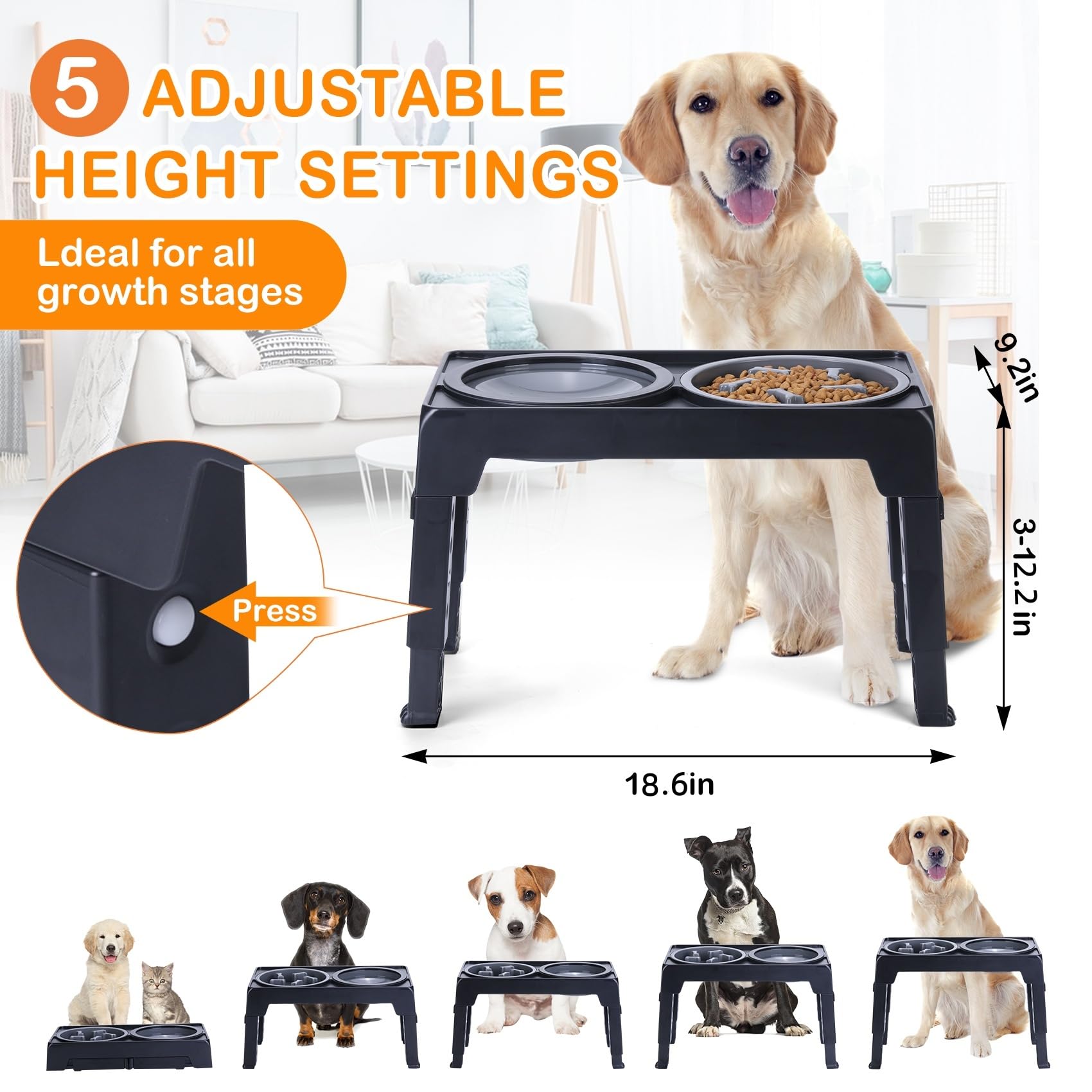 LALOBLUE raised stand offers five height options for growing dogs.