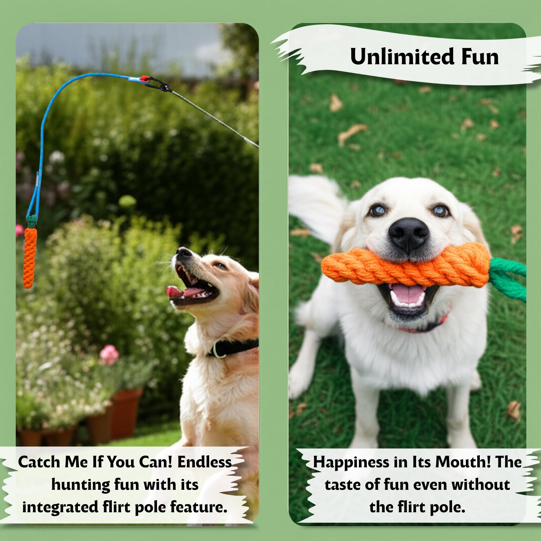 Lamfer chew ball treat holder attracts attention and supports interactive play.