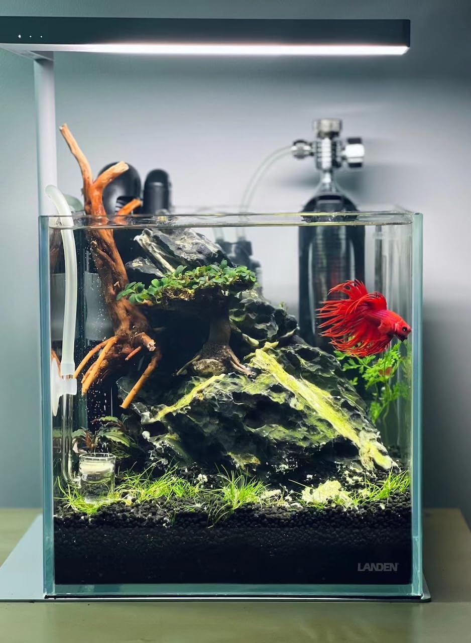 LANDEN 6-8 cm depth-ready substrate for mid-sized tanks.