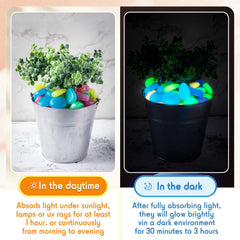 Landical glow rocks add color to succulent planters after sundown.