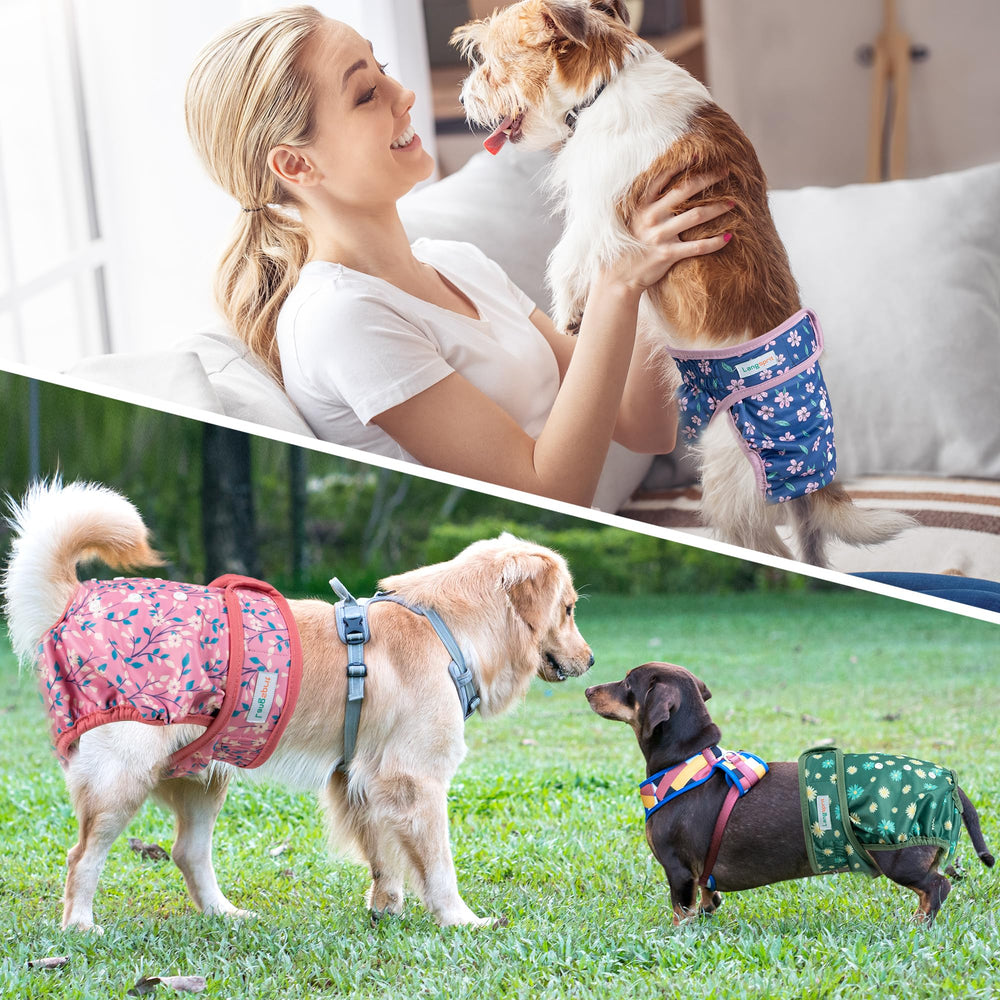 Langsprit adjustable sizes provide comfortable fit for various dogs