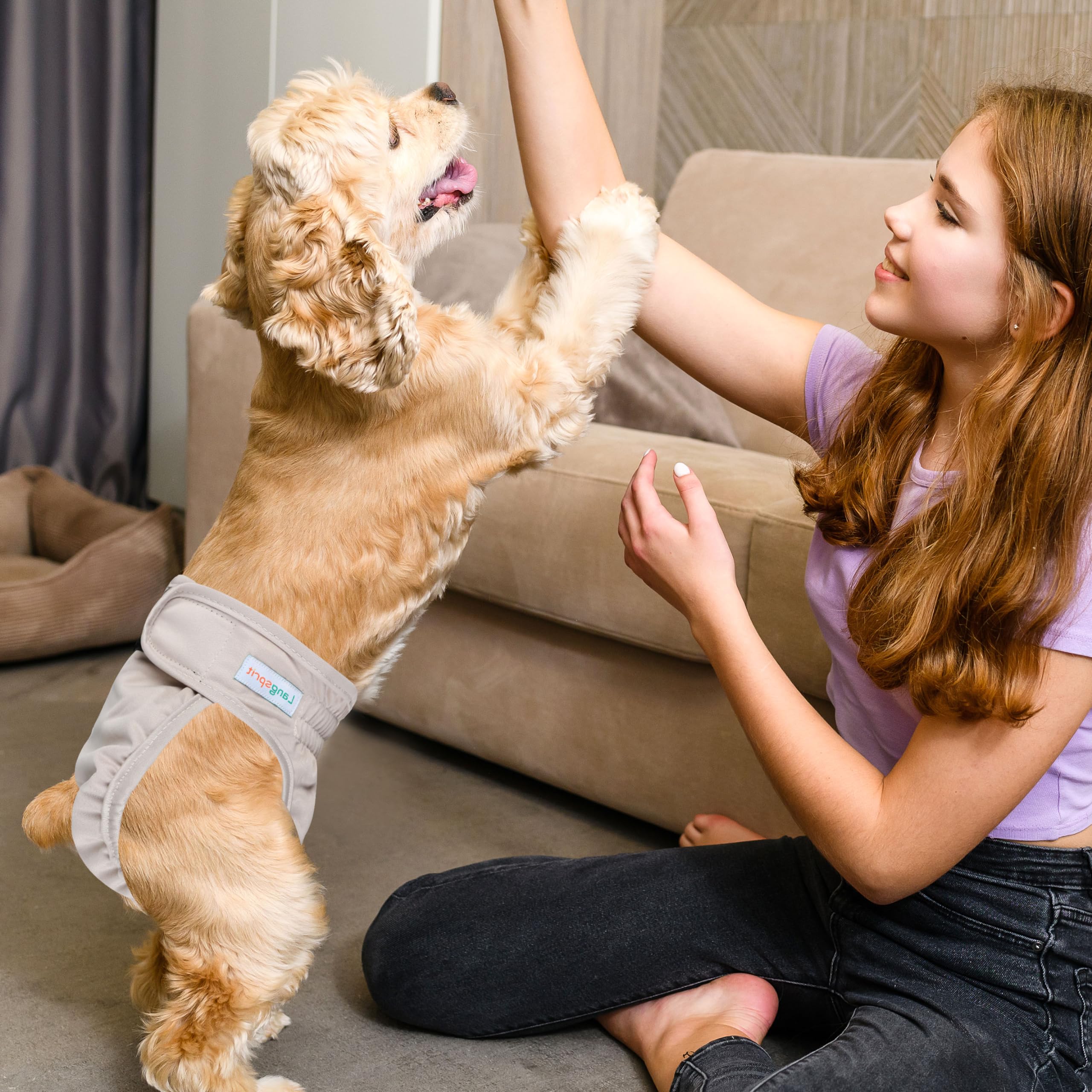Langsprit reusable dog diapers ideal for travel or house training.