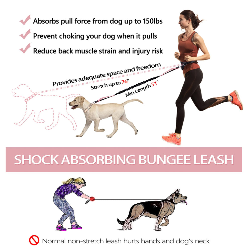 LANNEY bungee shock-absorbing leash reduces jerks for comfortable runs