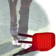 Lanoune infrared red light therapy wrap on horse knee for targeted relief