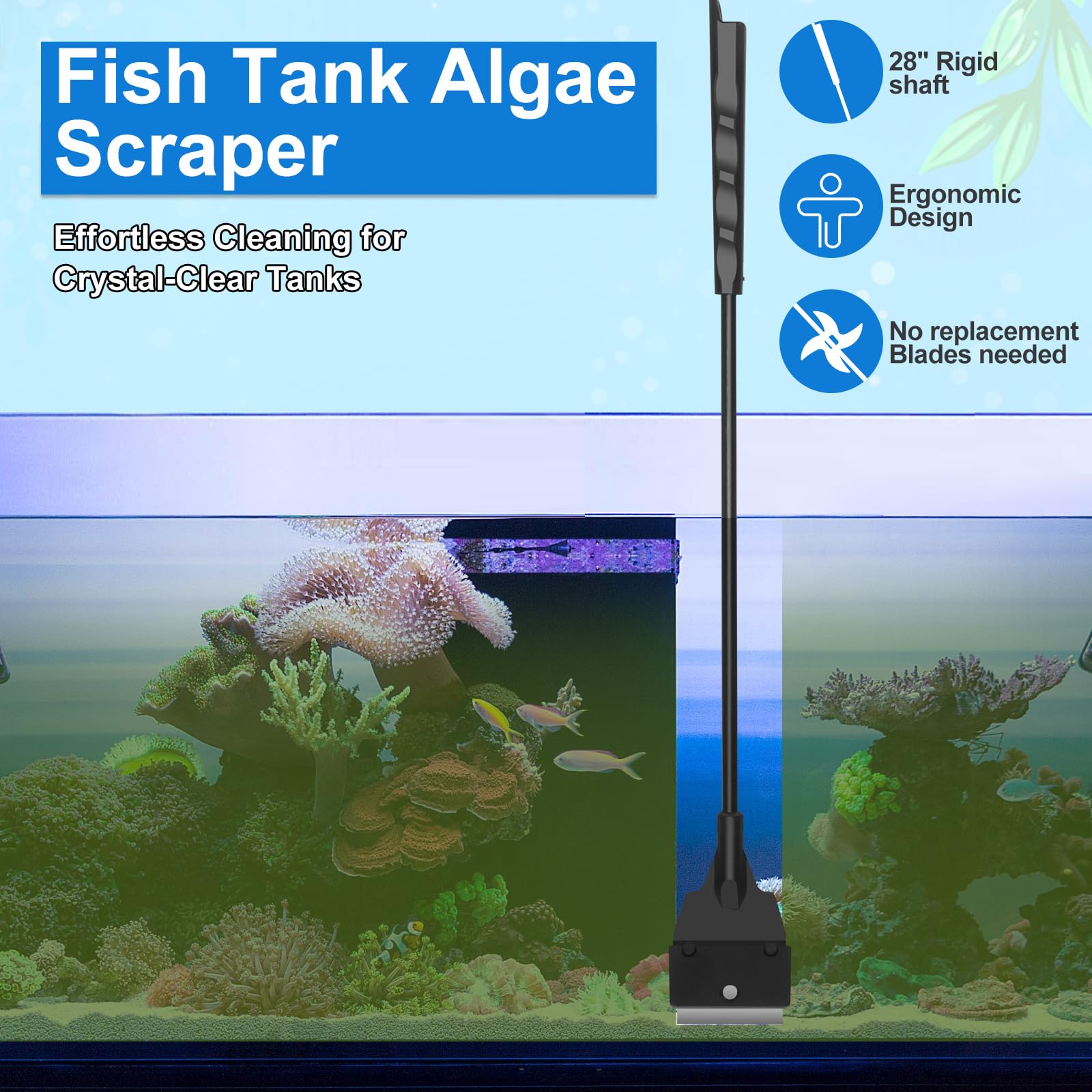 Lanswood sponge brush safely cleans tank surfaces.