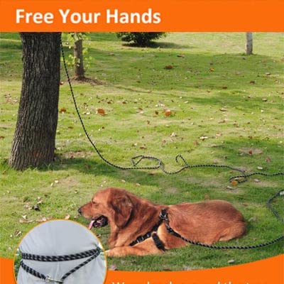 Lanwandeng backyard and beach-friendly leash for outdoor walking